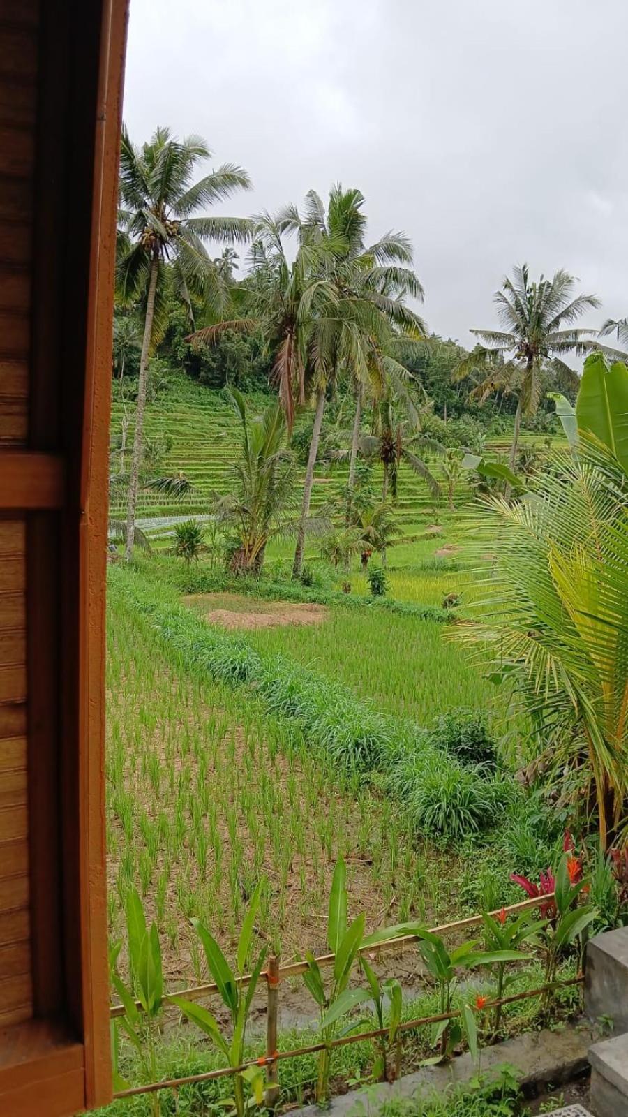 Lumbung Umaluah Villa 希德门 外观 照片
